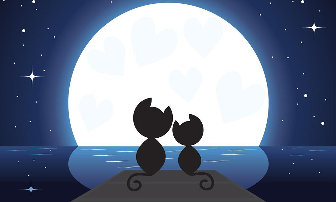 静安潮客汇微信活动策划案例